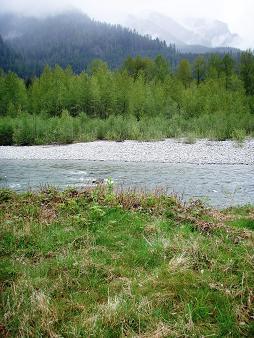 Where the Pratt River Trail meets the Middle Fork