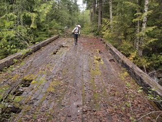 The Bear Creek bridge.  We parked here so we could avoid the trail's ford of Bear Creek by ascending (bushwacking) on the SE side of Bear Creek.  It was pretty brushy and wet.  If I did it again, I'd take the trail and bring a pair of wading shoes.