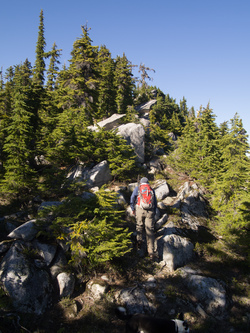 The final ridge  ascent to Price's summit.