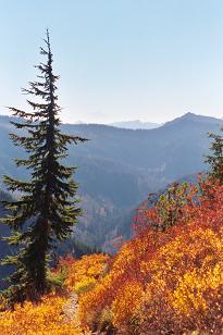 Autumn on Bare Mountain trail