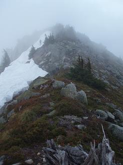 West ridge of Granite Mountain (Snoqualmie Pass quad)