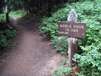 Start of Noble Knob trail