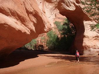 Coyote Natural Arch