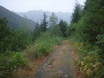 A long, rainy road walk ahead back to the Middle Fork trail head