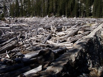 The world's biggest log jam between the two Snow Lakes