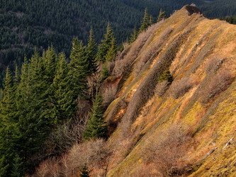 Ridge on the north side of Hamilton Mountain.