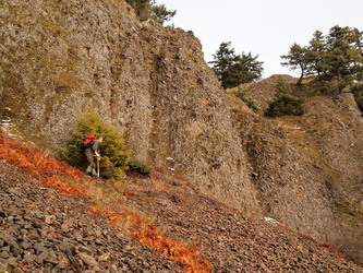 A crumbly basalt cliff band.  For such a short trip, there was a variety of terrain.