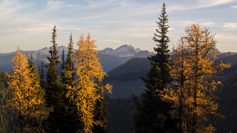 A view from the drive from the trail head to the campground at Harts Pass.