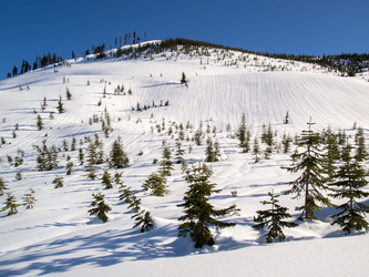 The NW slopes of Scout Patrol Peak.
