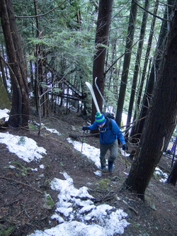 To avoid the rutted, icy, melted-out Tinkham Road, we ascended to the John Wayne Trail at the trestle.