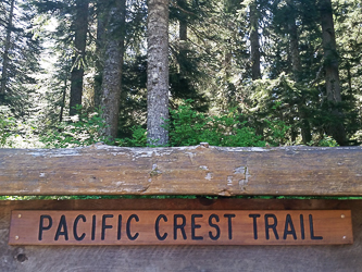 After dropping my bike off at the Gold Creek Trailhead, I started my run at the Snoqualmie Pass north PCT Trailhead.