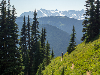 On the upper part of the North Fork Sauk trail with the Monte Cristo Range in the background.