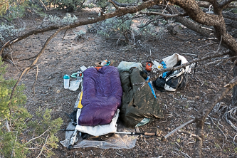 Camp on Tarantula Mesa