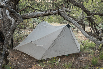 Camp in Hackberry Canyon