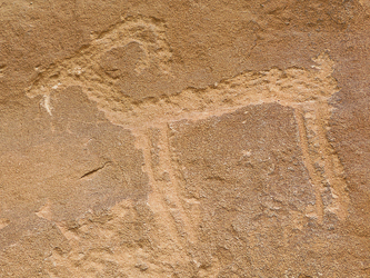 Petroglyph near the mouth of Willis Creek