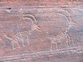 Petroglyphs at at the start of Wire Pass