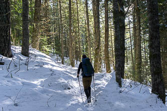 High Divide Trail, down in the trees