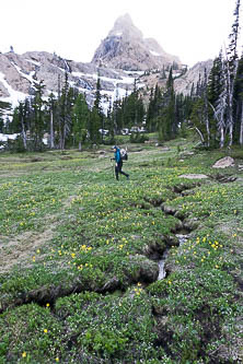 The head of the Ingalls Creek drainage