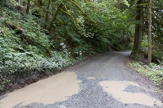 I hiked the Middle Fork Road instead of the Middle Fork Trail due to heavy rain and the landslide closure of the trail