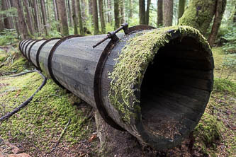 Wood culvert on the side of the Middle Fork Snoqualmie Road