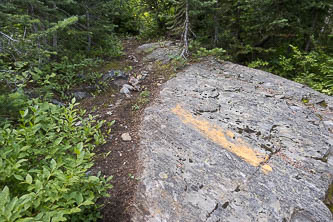 An Icicle Ridge Trail marking