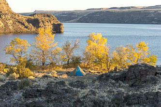 Sunrise on Cottonwoods and the Columbia River