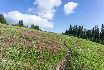 Cady Ridge Trail
