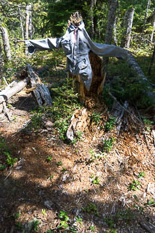 The scarecrow that marks the start of Gamma Ridge Trail