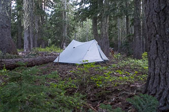 Camp down the West Fork Cabin Creek
