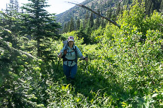 On the north side of Scatter Creek, much of the trail consumed by boggy meadows and avalanche debris