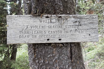 "White River. A violent glacial stream."