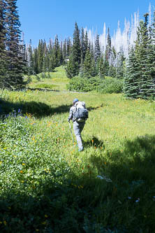 Ascending the Ridge of Wonders